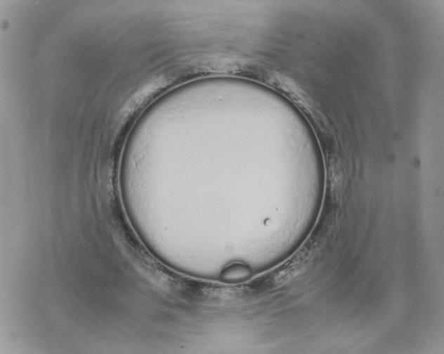 X0000074330679200609152057