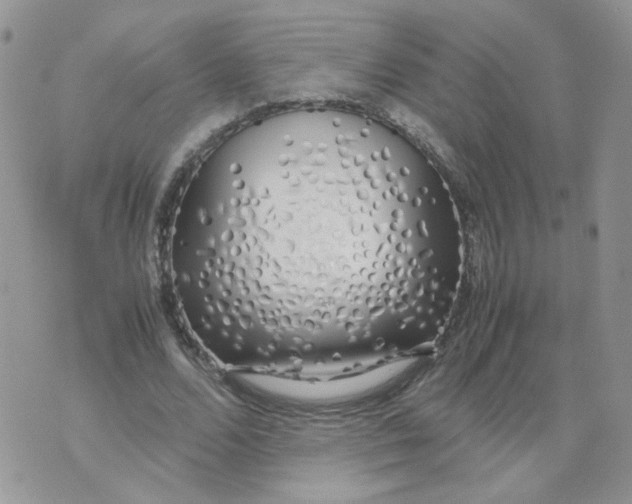 X0000074330680200609152057