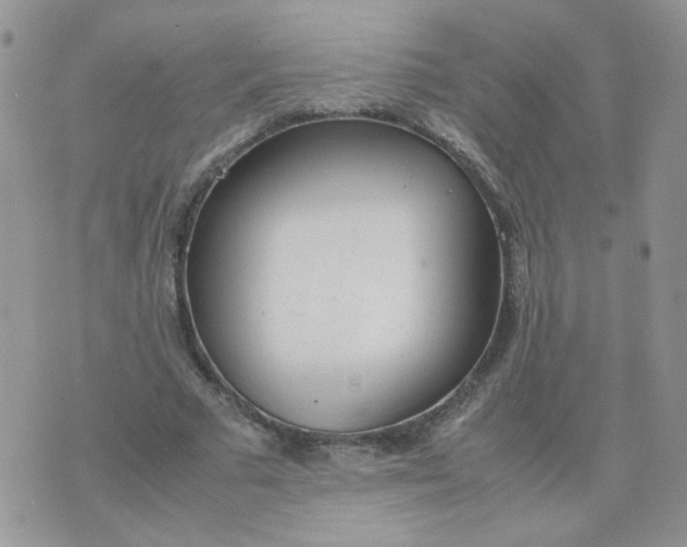 X0000074330681200609152057