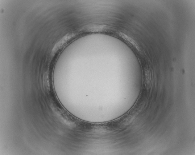 X0000074330682200609152057