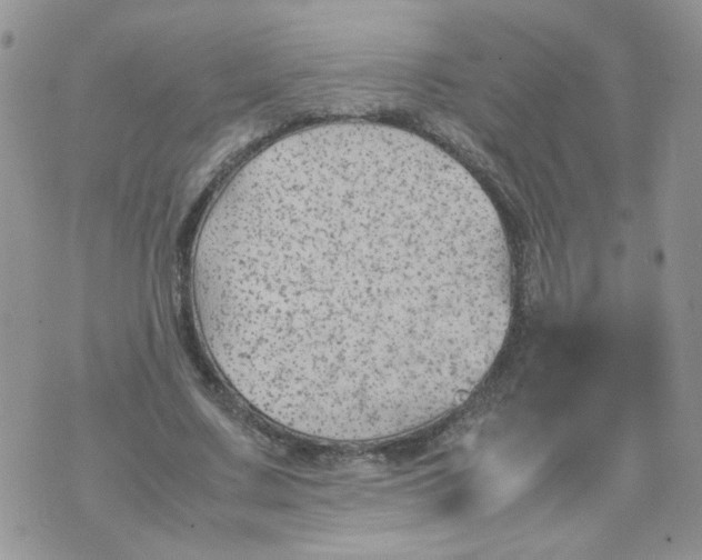 X0000074330683200609152057