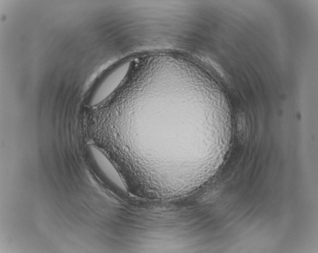 X0000074330684200609152057