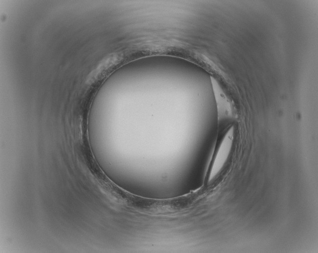 X0000074330685200609152057