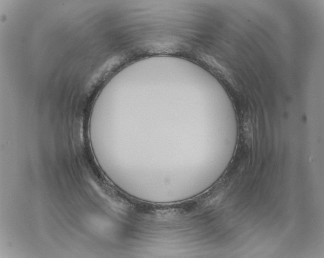 X0000074330686200609152057