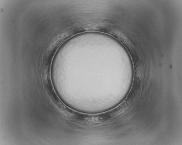 X0000074330687200609152057