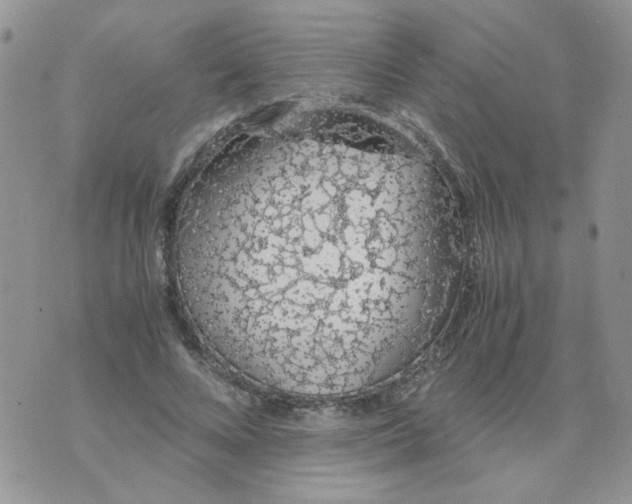 X0000074330688200609152057