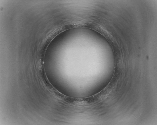 X0000074330689200609152057