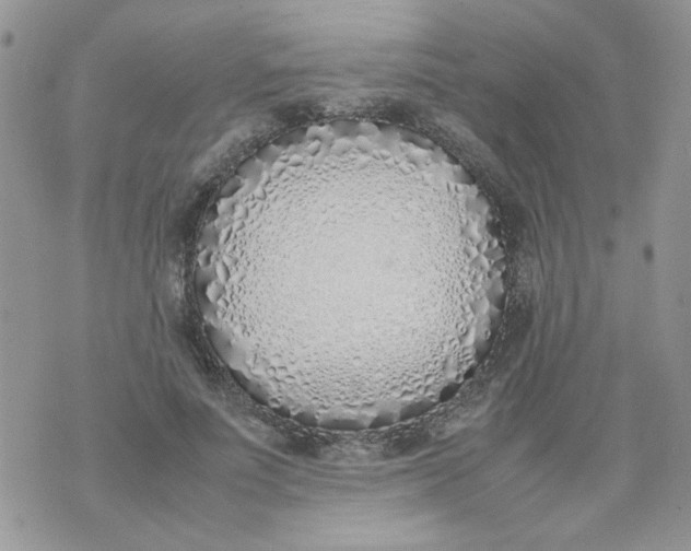 X0000074330691200609152057