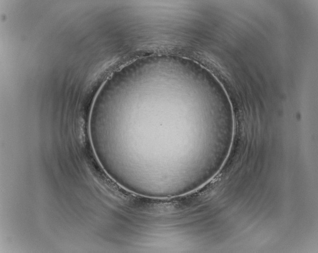 X0000074330692200609152057