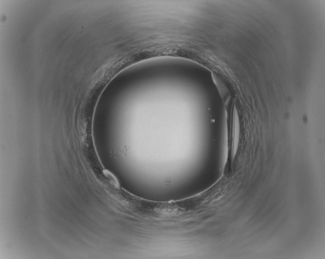 X0000074330693200609152057