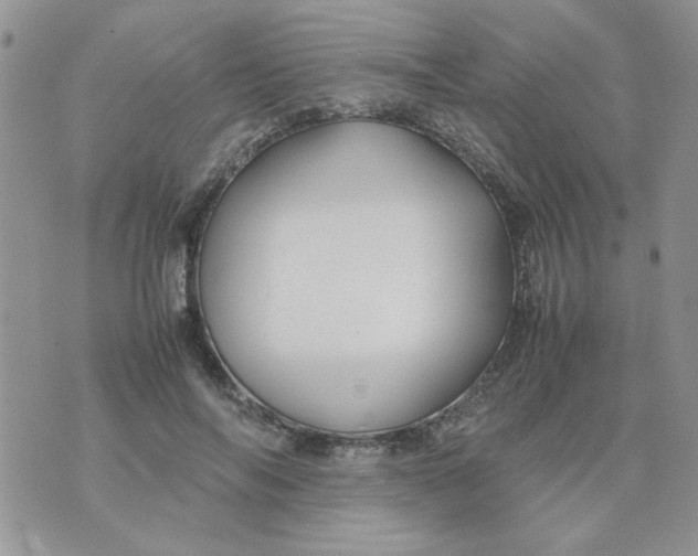 X0000074330694200609152057