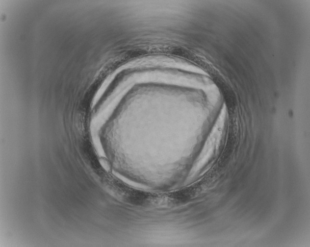 X0000074330695200609152057