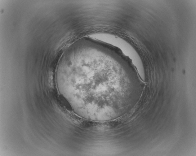 X0000074330696200609152057