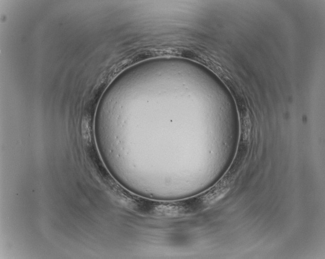 X0000074330699200609152057