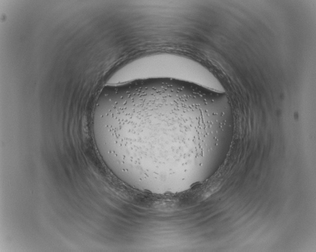 X0000074330700200609152057