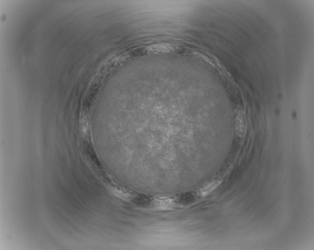 X0000074330701200609152057