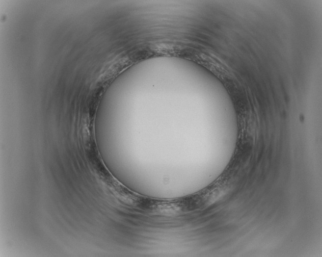 X0000074330702200609152057