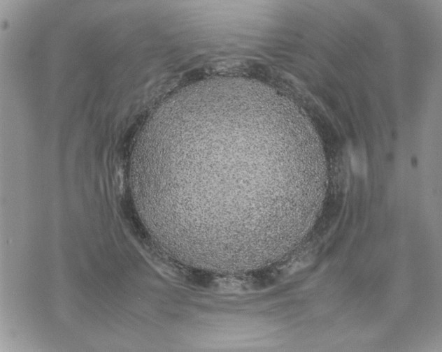 X0000074330703200609152057