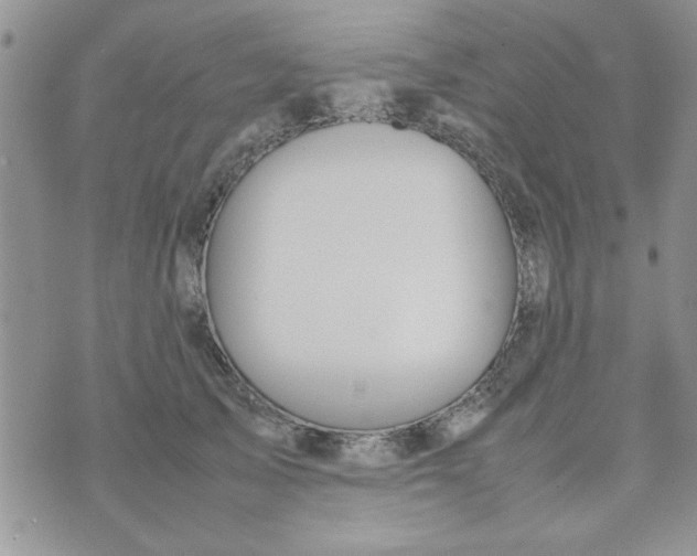 X0000074330705200609152057