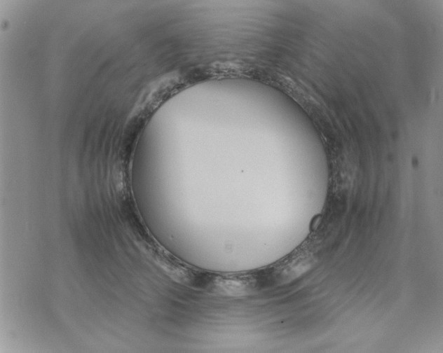 X0000074330706200609152057