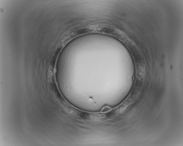 X0000074330707200609152057