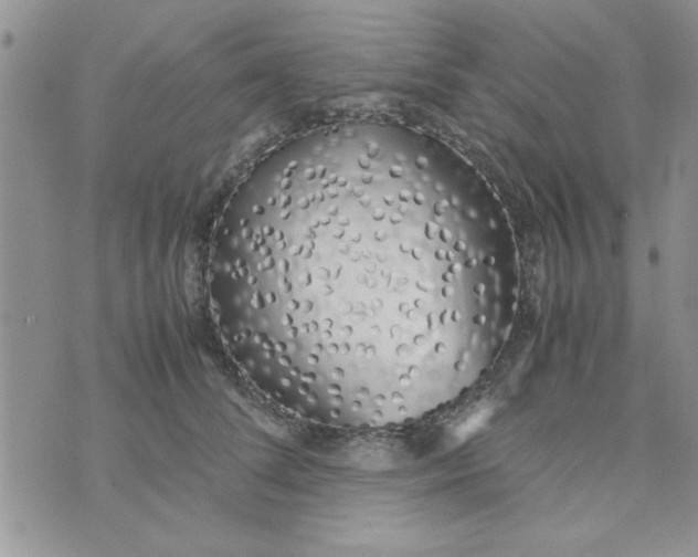 X0000074330708200609152057