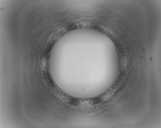 X0000074330709200609152057