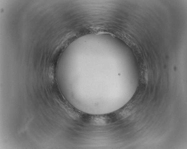 X0000074330710200609152057