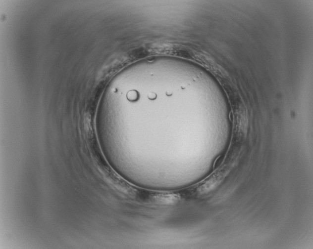 X0000074330711200609152057