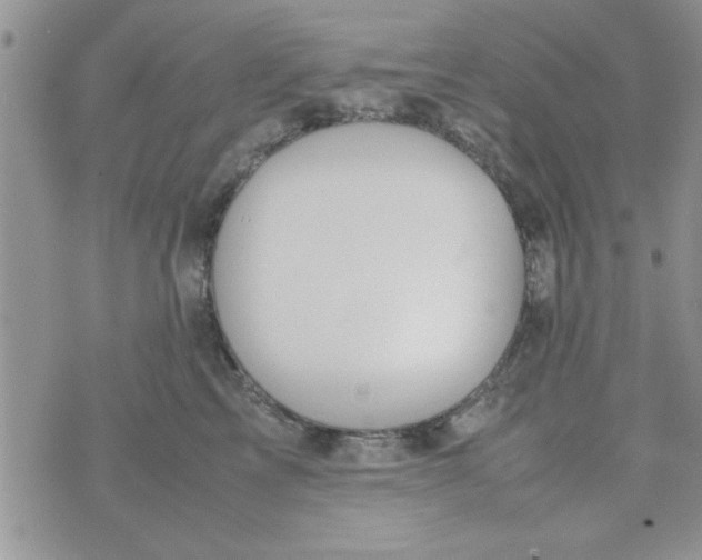 X0000074330713200609152057