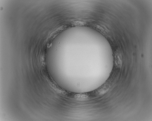 X0000074330714200609152057