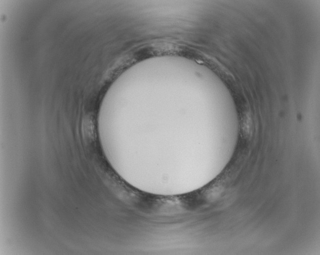 X0000074330715200609152057