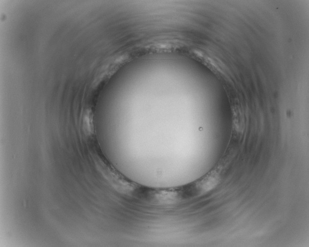 X0000074330718200609152057