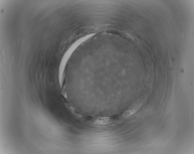 X0000074330720200609152057