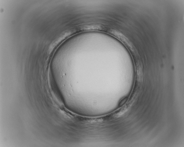 X0000074330721200609152056