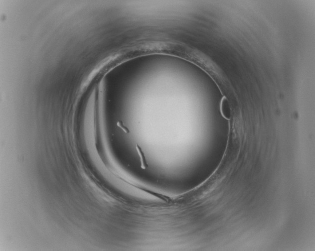 X0000074330722200609152056