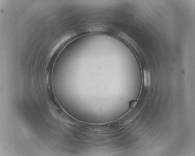 X0000074330723200609152056