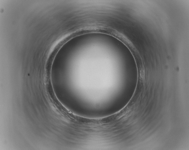 X0000074330724200609152056