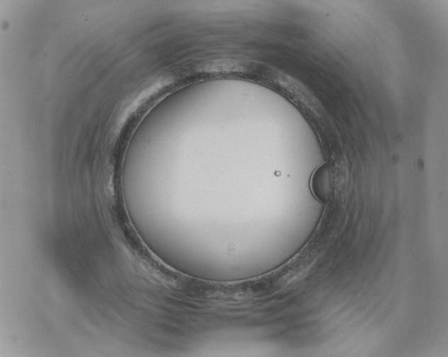 X0000074330727200609152056