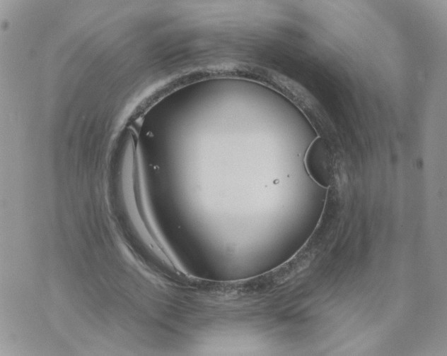 X0000074330728200609152056