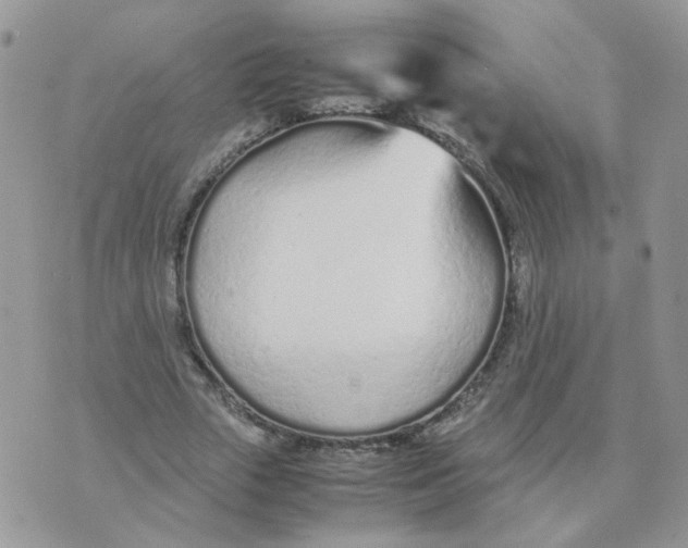 X0000074330729200609152056