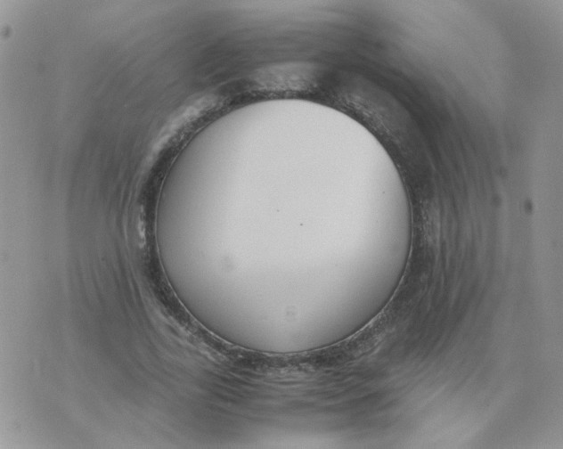 X0000074330731200609152056