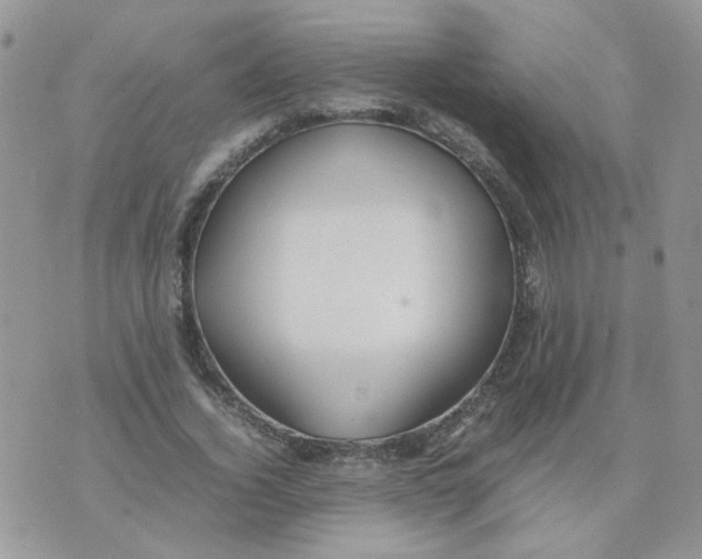 X0000074330732200609152056