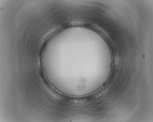 X0000074330733200609152056