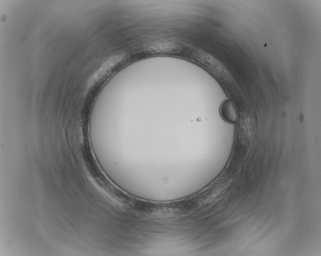 X0000074330734200609152056