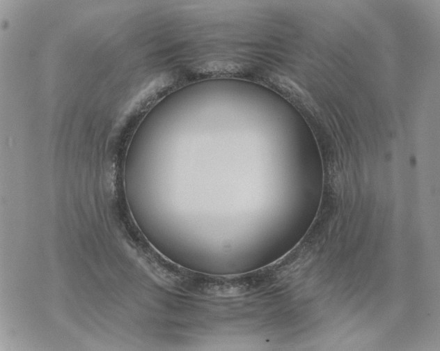 X0000074330735200609152056