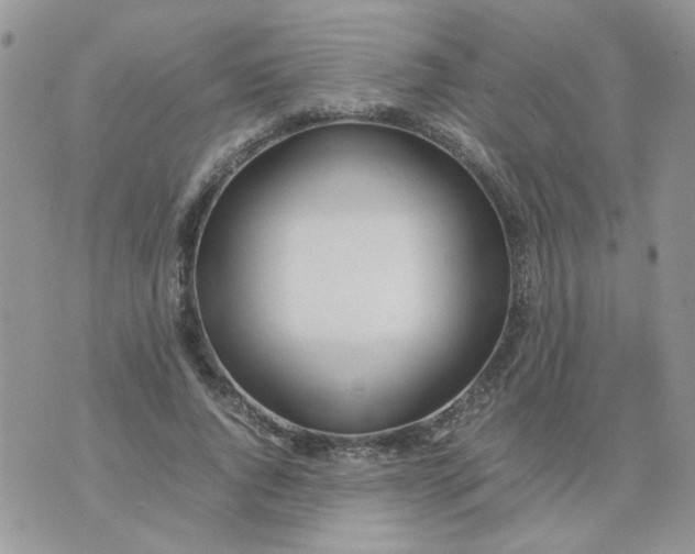 X0000074330736200609152056