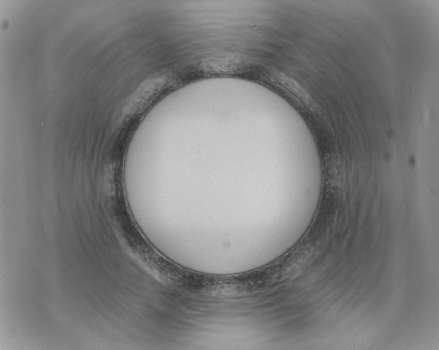 X0000074330738200609152056