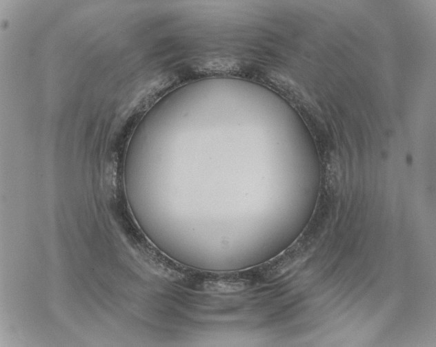 X0000074330739200609152056