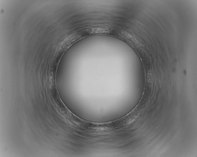 X0000074330741200609152056